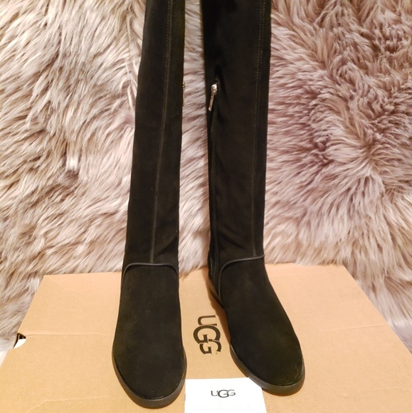 ugg daley tall boots